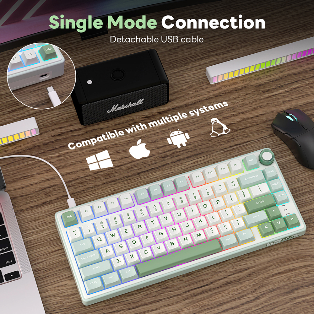RK Royal Kludge R75 Gasket Wir - đánh giá và giá Gaming Keyboard Mobile