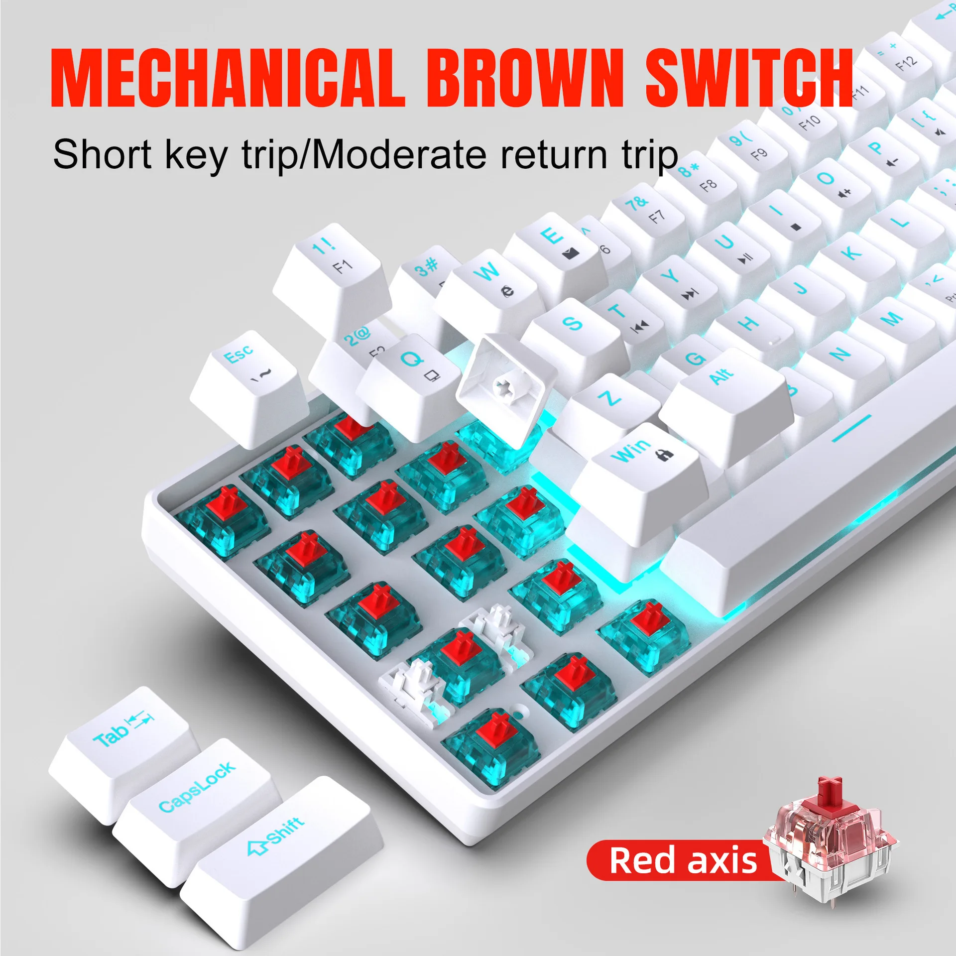 Mechanical keyboard gaming 60% - đánh giá và giá Gaming Keyboard Budget